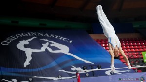 gam sfe00508 copia simone ferraro ph